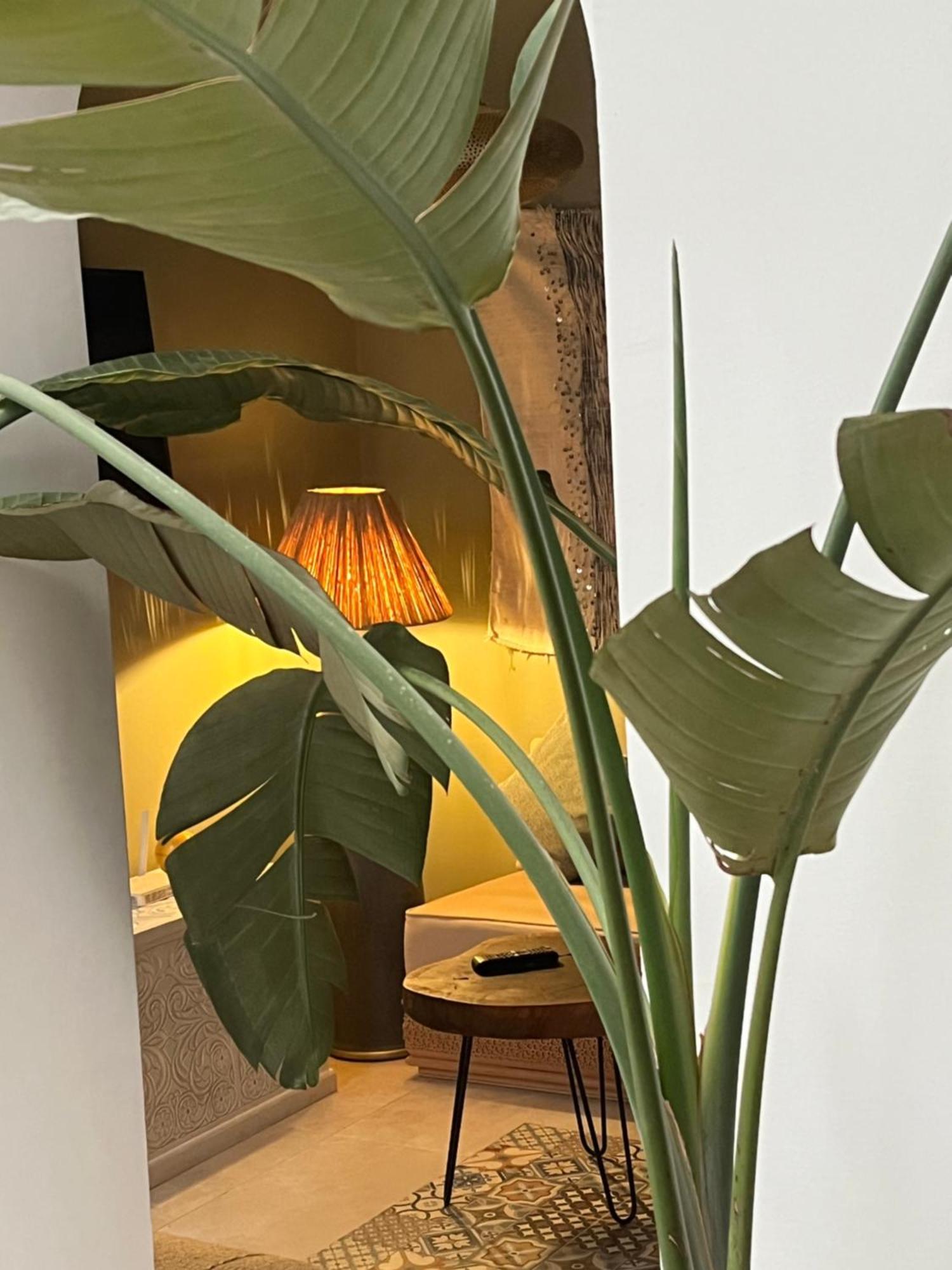 Riad Julilu Privatise Marrakesh Buitenkant foto